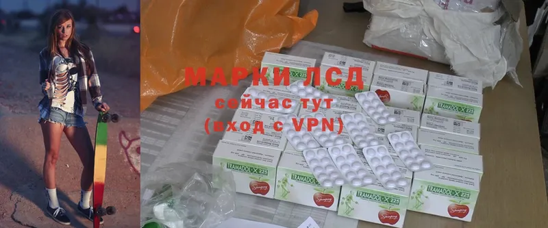 как найти закладки  Новодвинск  ЛСД экстази ecstasy 